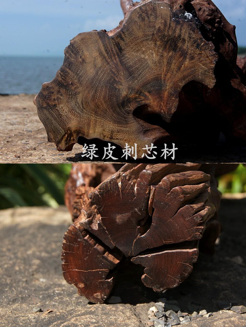 什么是沉木(什么沉木不黃水)