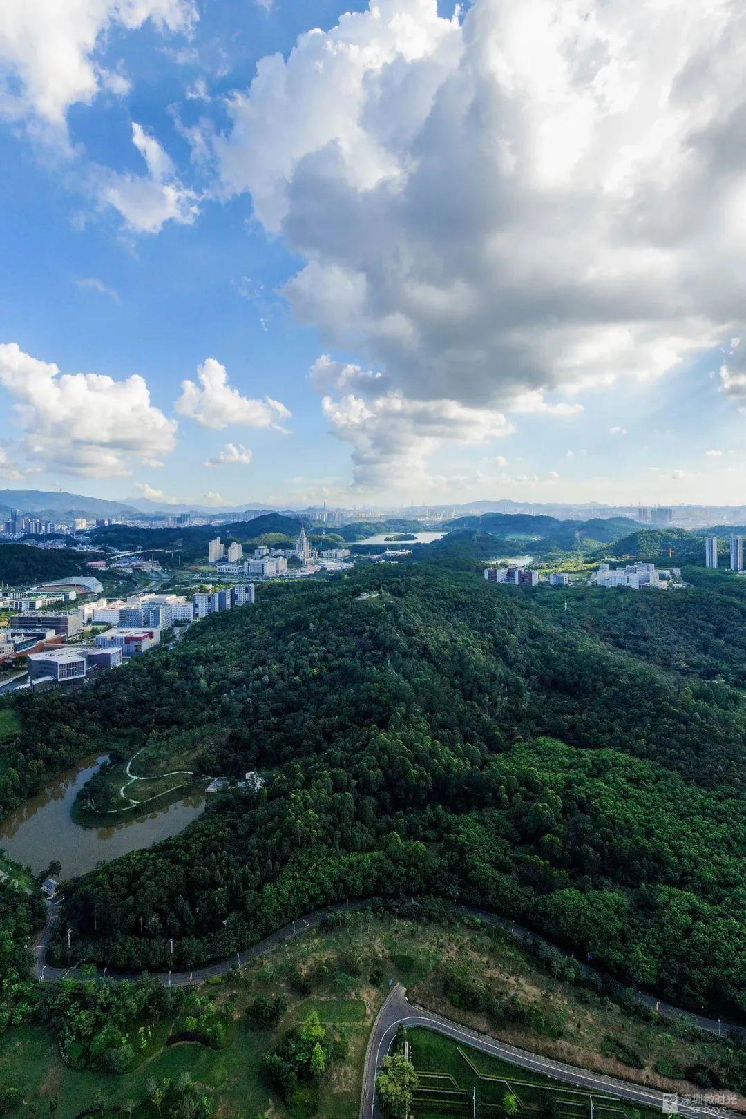 深圳地鐵線路圖 深圳地鐵2022年線路圖