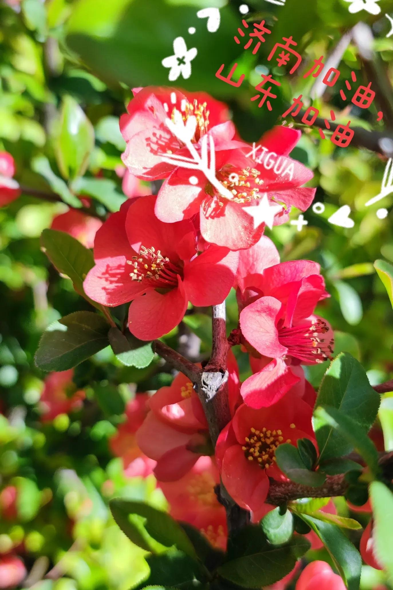 上海支援山東(上海支援山東小陽人)