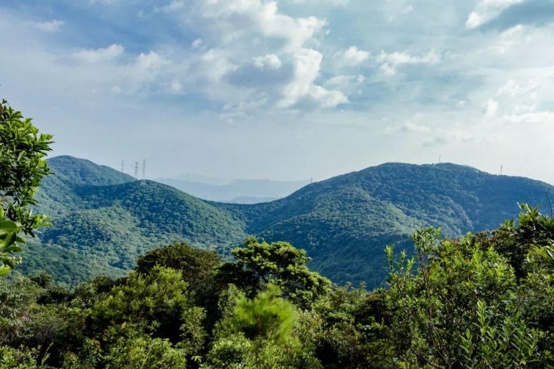 深圳哪里好玩(深圳必須去的50個地方)