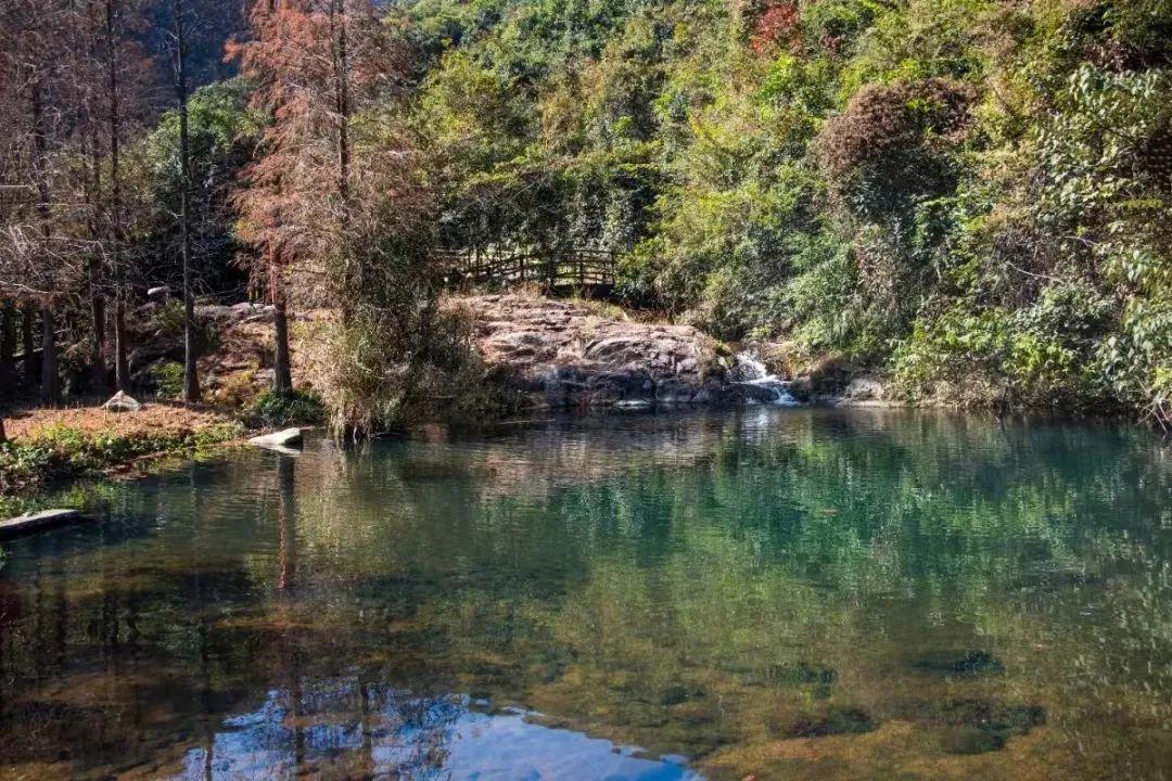 深圳地鐵線路圖 深圳地鐵2022年線路圖