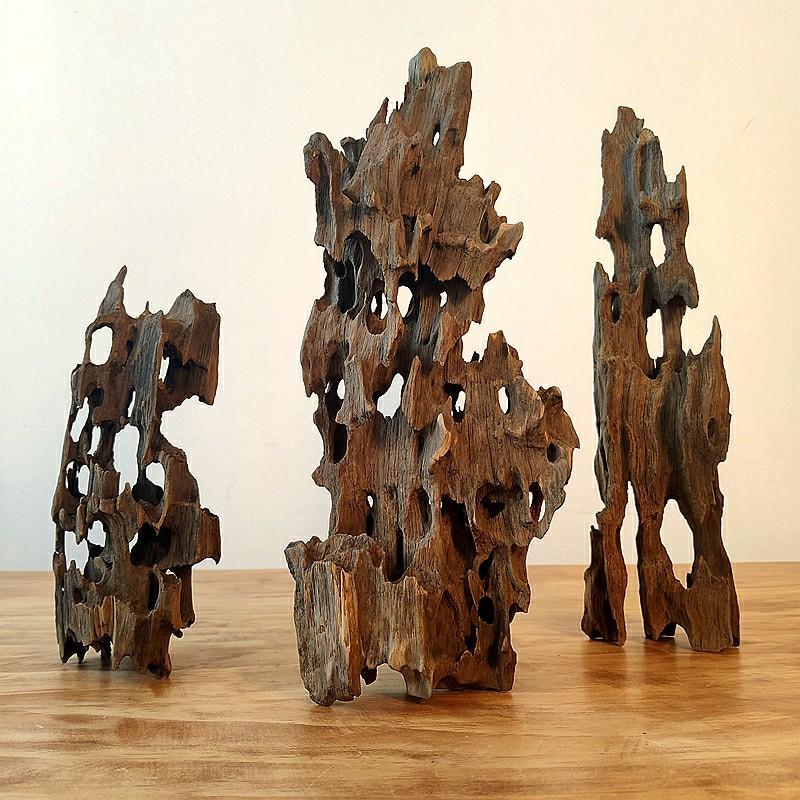 什么是沉木(什么沉木不黃水)