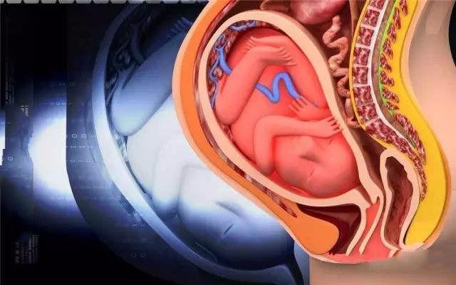 開指快慢和什么有關(開指快慢跟什么有關)