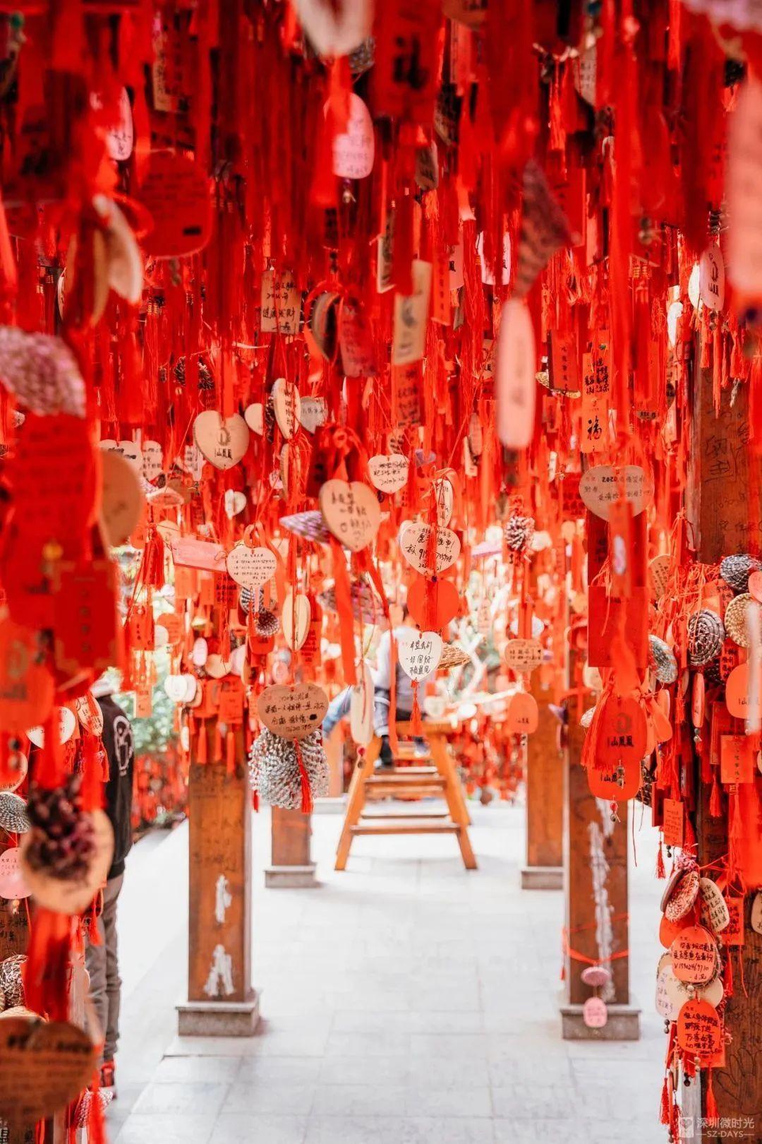 深圳地鐵線路圖 深圳地鐵2022年線路圖