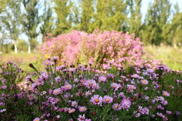 密云旅游景點大全 密云區自駕免費景點