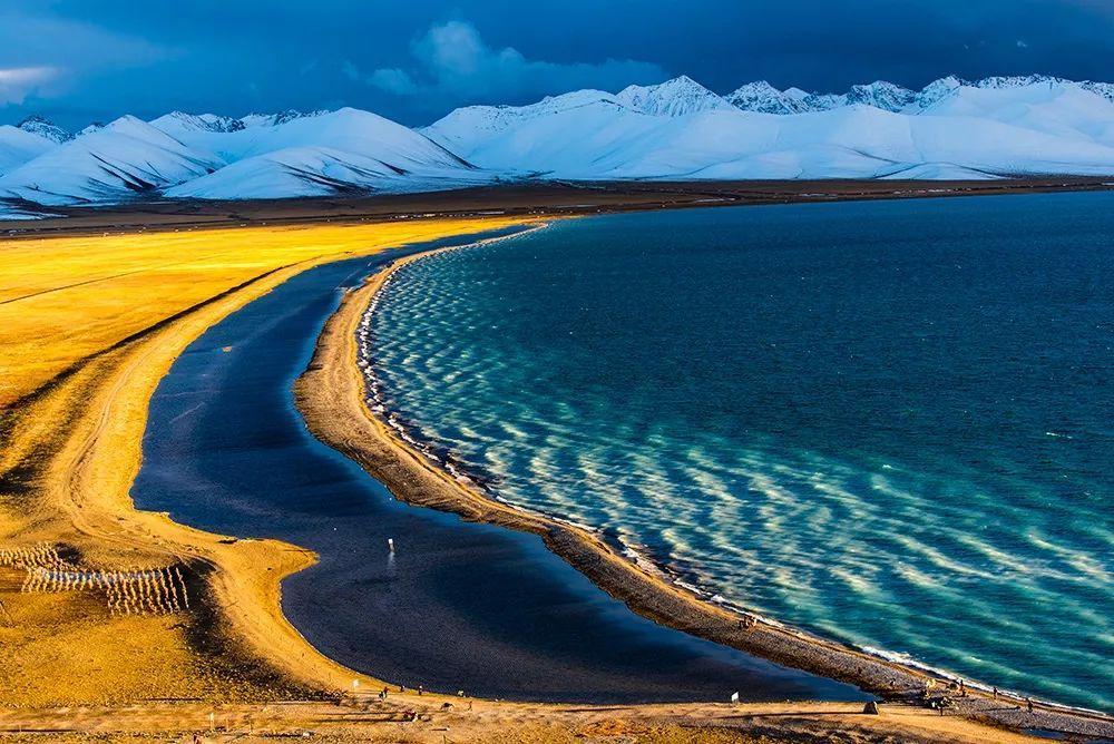 什么是單反數碼相機(數碼相機單反是什么意思)