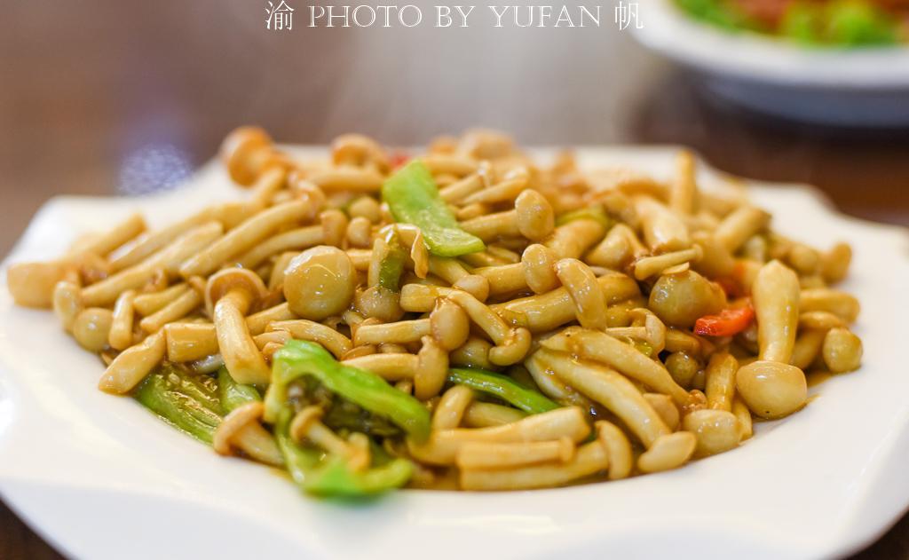 驢肝的功效和作用(驢肝的功效與作用及禁忌)