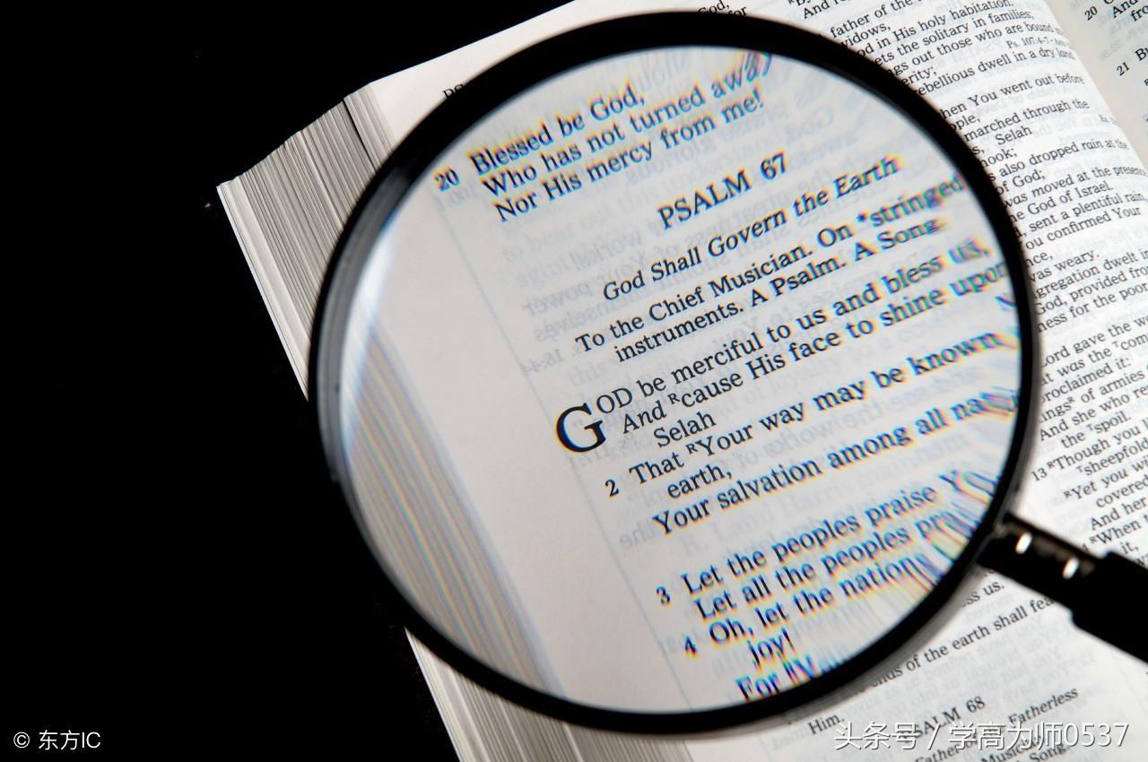 綠肥紅瘦是什么季節(jié)的景色(李清照詞中綠肥紅瘦是什么季節(jié)的景色)