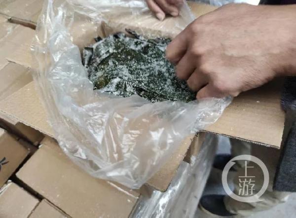 鹽漬海帶結需要泡多久(鹽漬海帶一般泡多久)