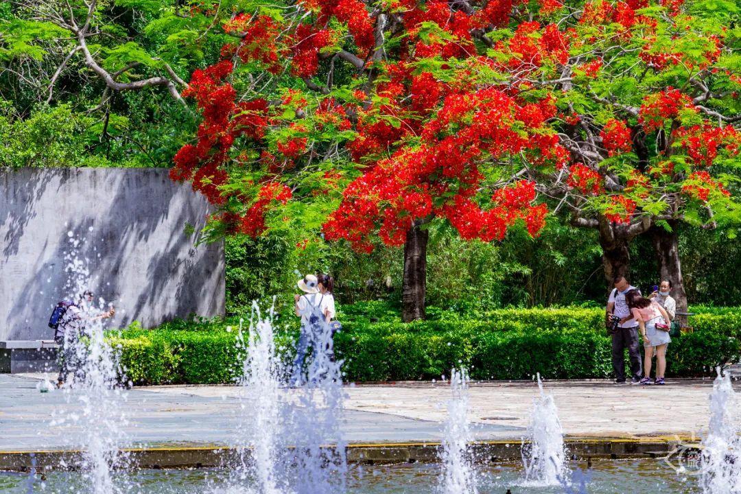 深圳哪里好玩(深圳必須去的50個地方)