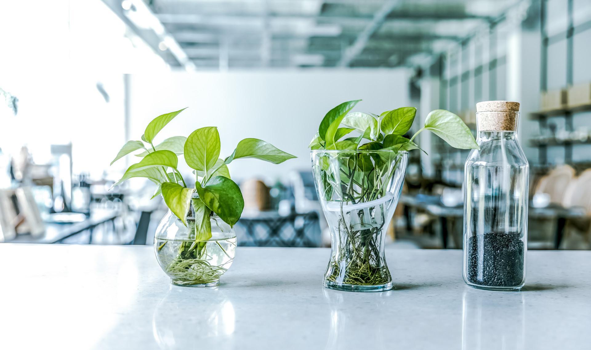 小孩喜歡玩具有什么(小孩喜歡什么玩具)