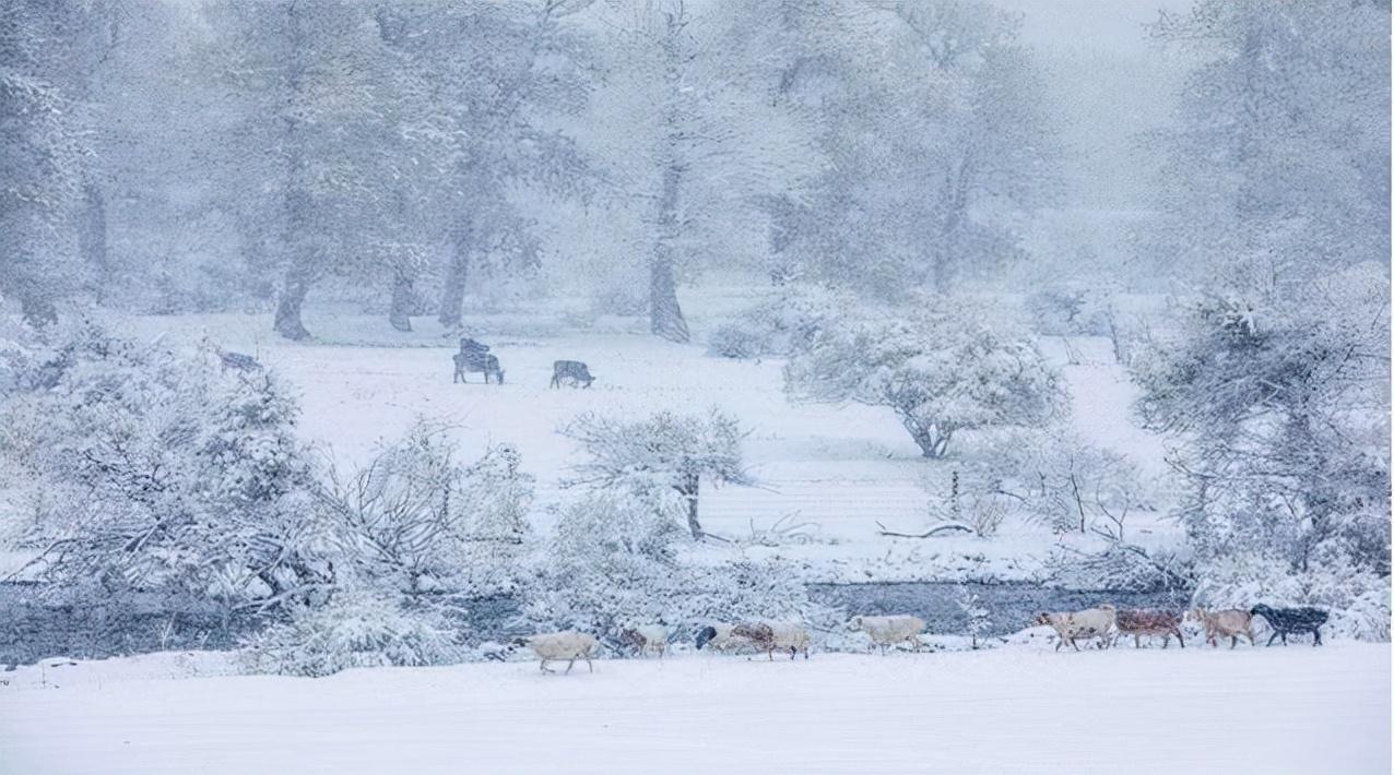 熱文2021立冬節(jié)氣的古詩(shī)有哪些(2021立冬節(jié)氣的古詩(shī))
