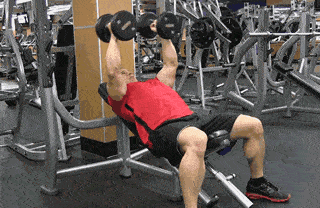 有關每天力量訓練內容(每天力量訓練內容)