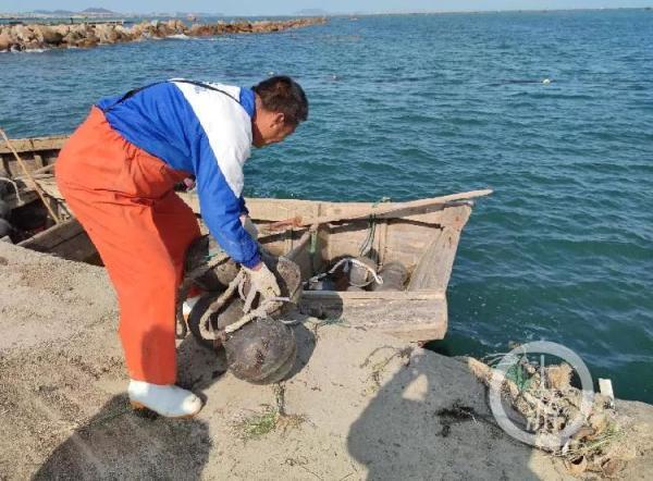 鹽漬海帶結需要泡多久(鹽漬海帶一般泡多久)