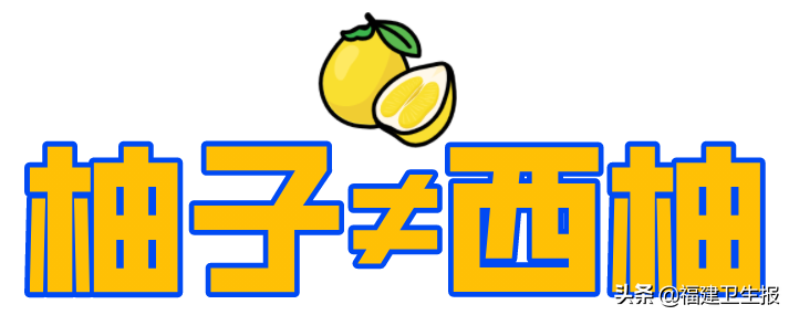 西柚的功效有哪些(西柚能化痰嗎)