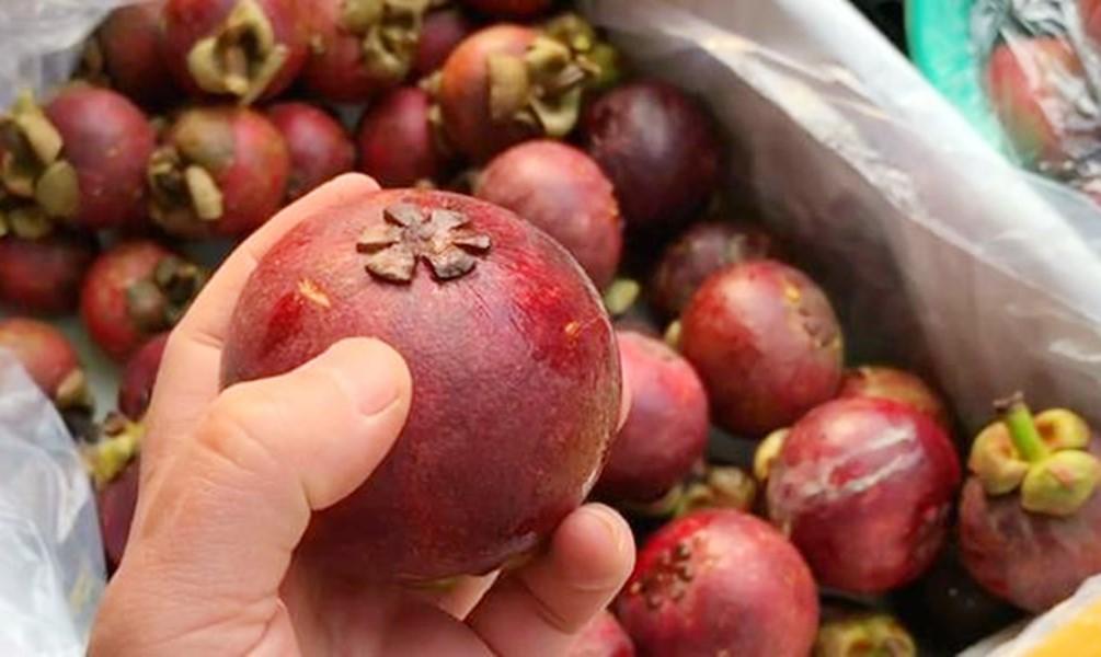 山竹里面黃黃的是什么可以吃嗎?水果店老板:不懂的人買的山竹白吃了