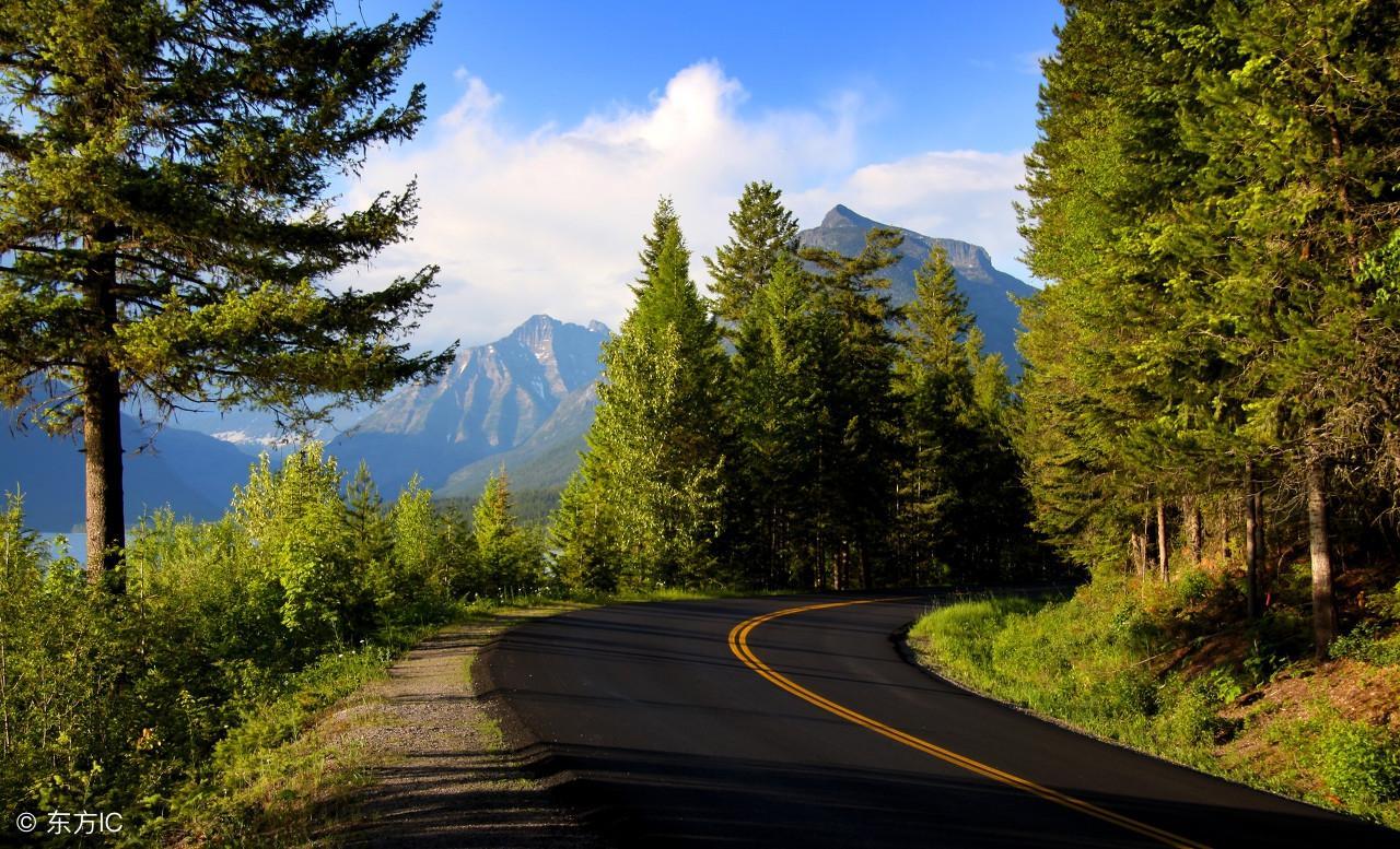 駱駝祥子主要講了什么(駱駝祥子主要講了什么內容50字)