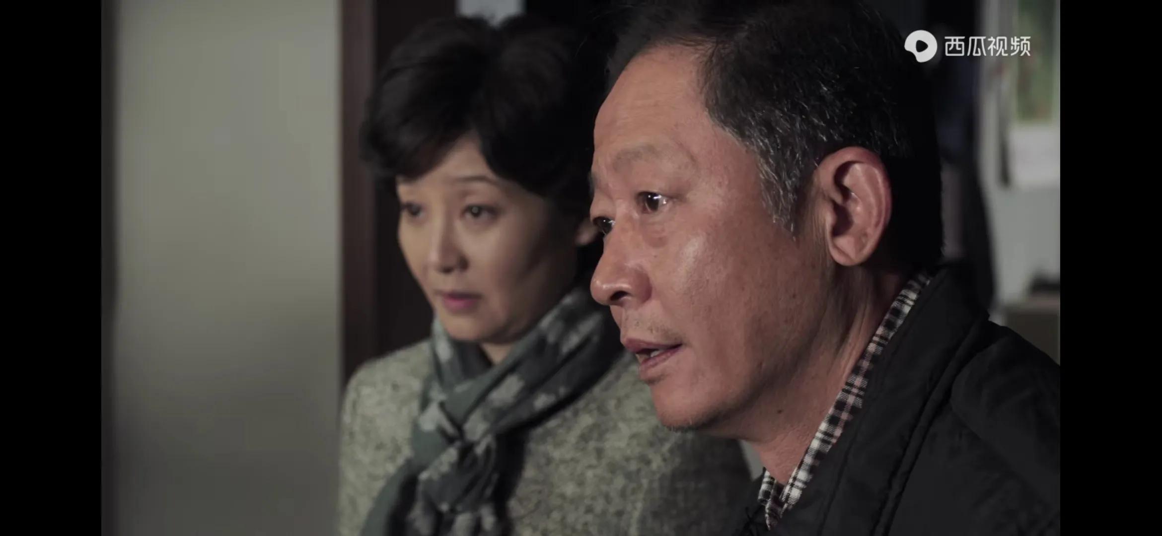 一樹桃花開電視劇簡介(一樹桃花開演員表)