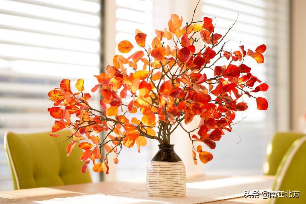 王維的簡介(王維的作品有哪些)