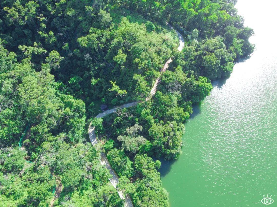 深圳哪里好玩(深圳必須去的50個地方)