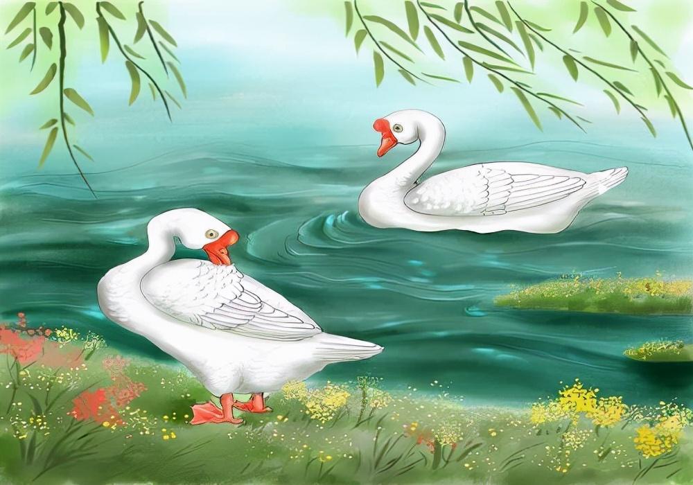 熱文詠鵝里面表示動作的詞(詠鵝里面表示動作的詞有哪些)