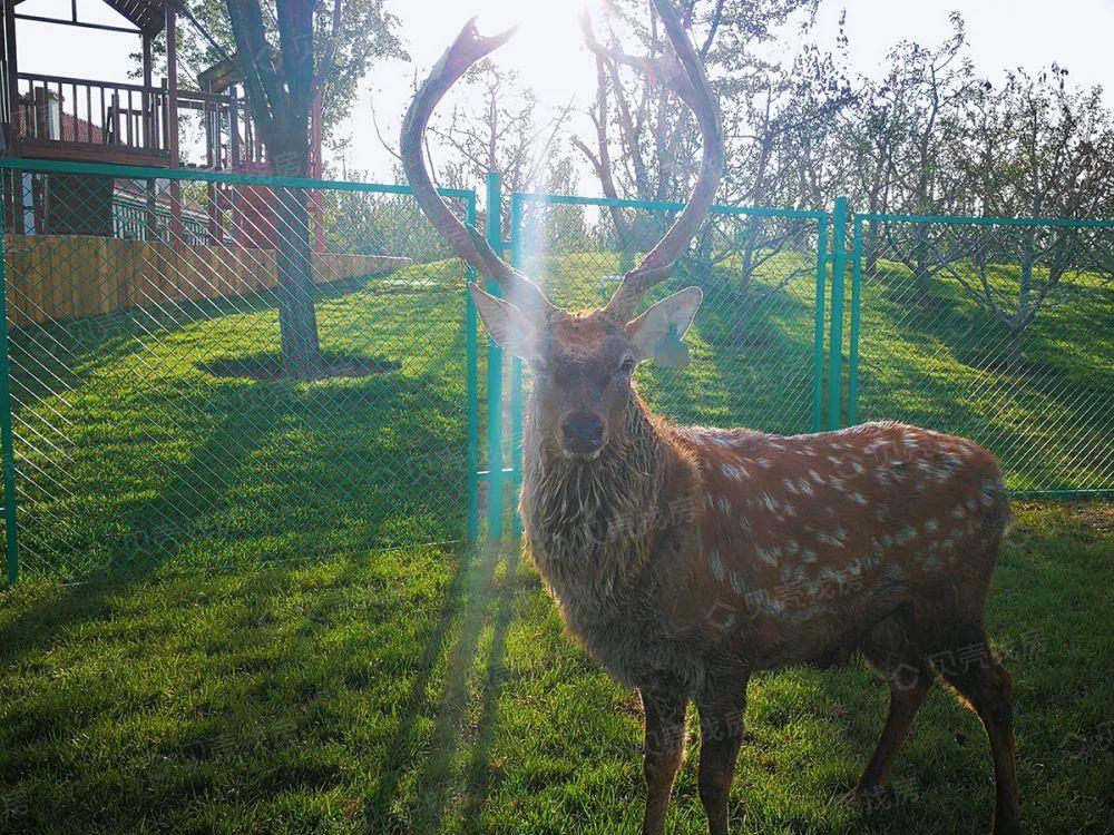 密云旅游景點大全 密云區自駕免費景點