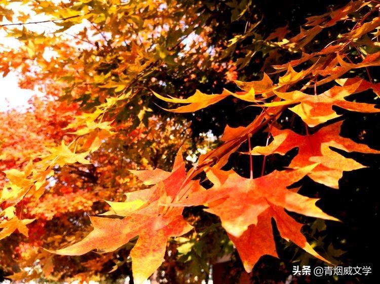 2021立冬節(jié)氣的古詩有哪些(2021立冬節(jié)氣的古詩)