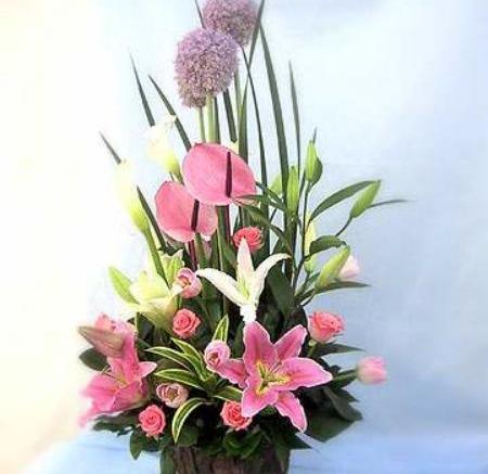 鮮切花如何延長花期(為了延長鮮花的保鮮期剪花枝時怎么做效果會更好？)