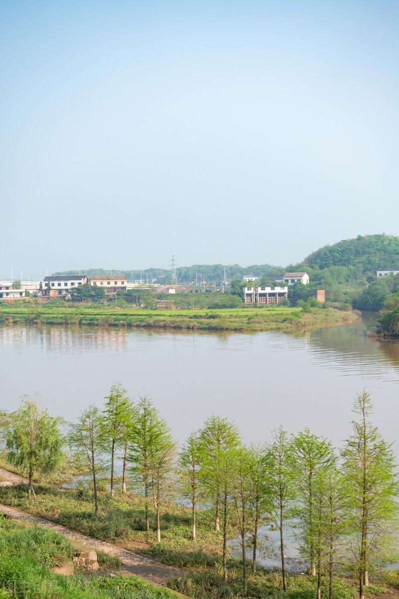 寒食城東即事原文作者是誰(寒食城東即事原文作者)