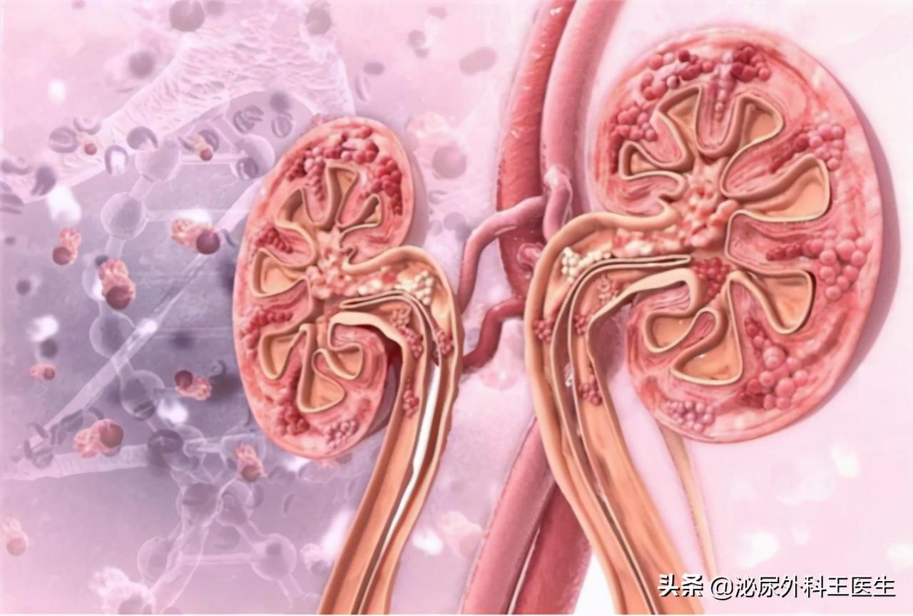 身高為什么(身高為什么減105)