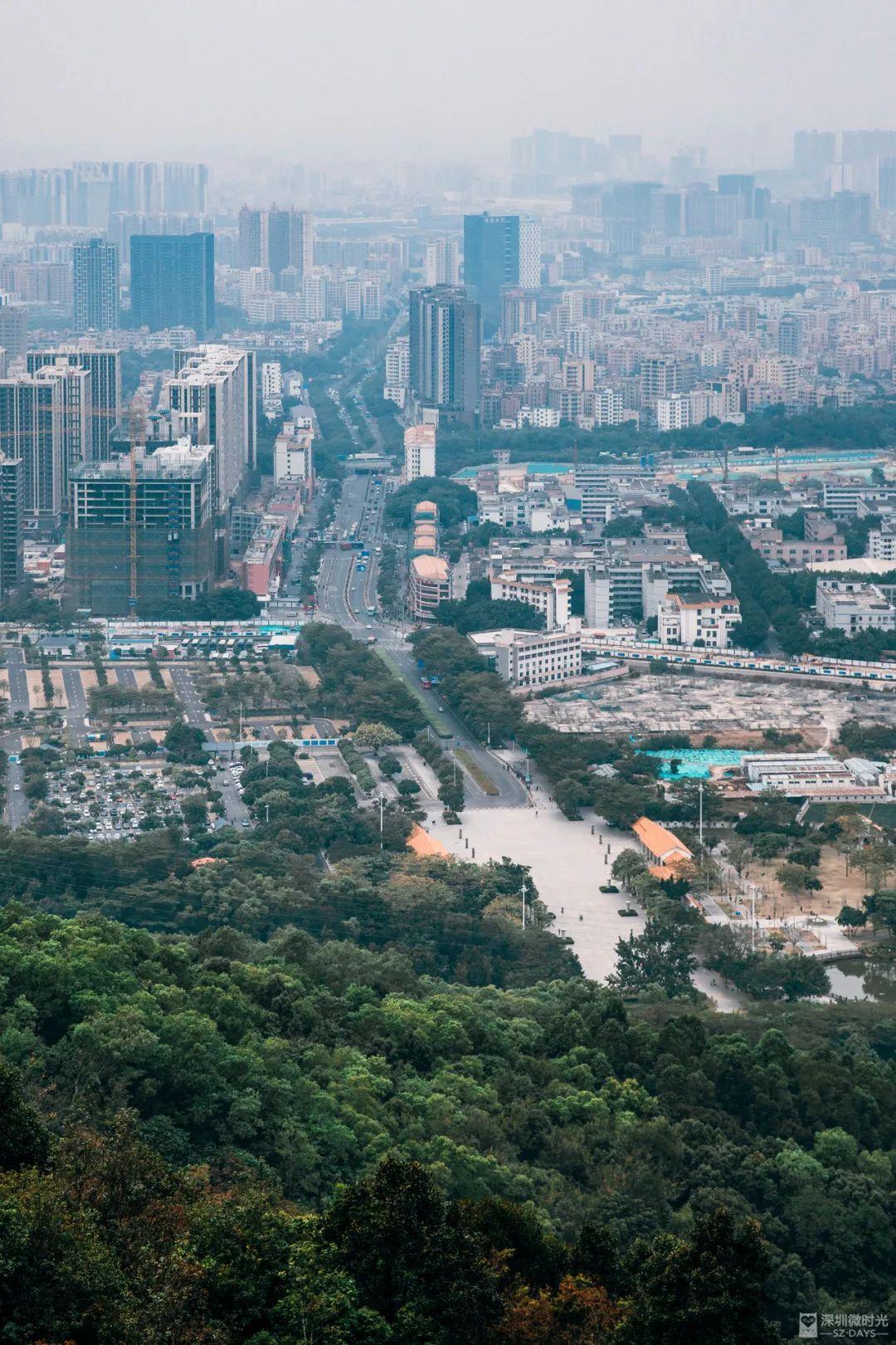 深圳地鐵線路圖 深圳地鐵2022年線路圖