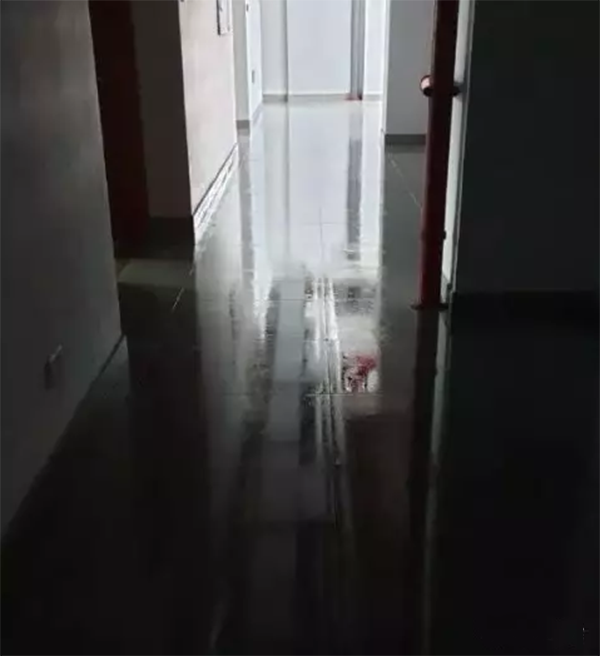 梅雨季節(梅雨季節房間潮濕怎么能讓干燥)