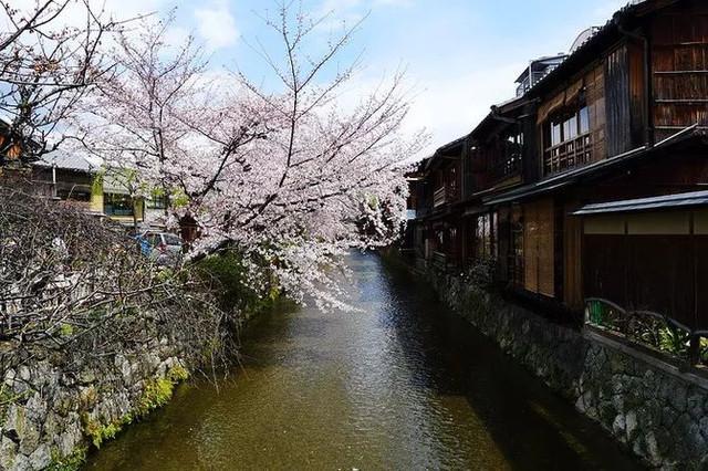 京都五大寺院分別叫什么？(足利義滿)