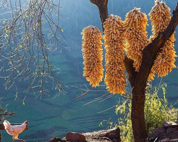 中國最偏僻的地方是哪里(中國最偏僻的地方詳細(xì)位置及地名)