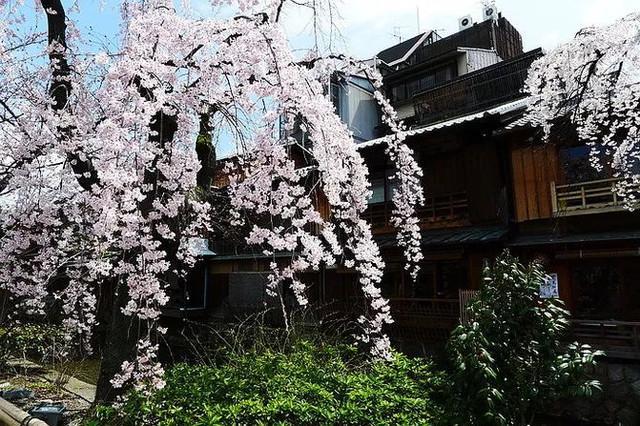 京都五大寺院分別叫什么？(足利義滿)