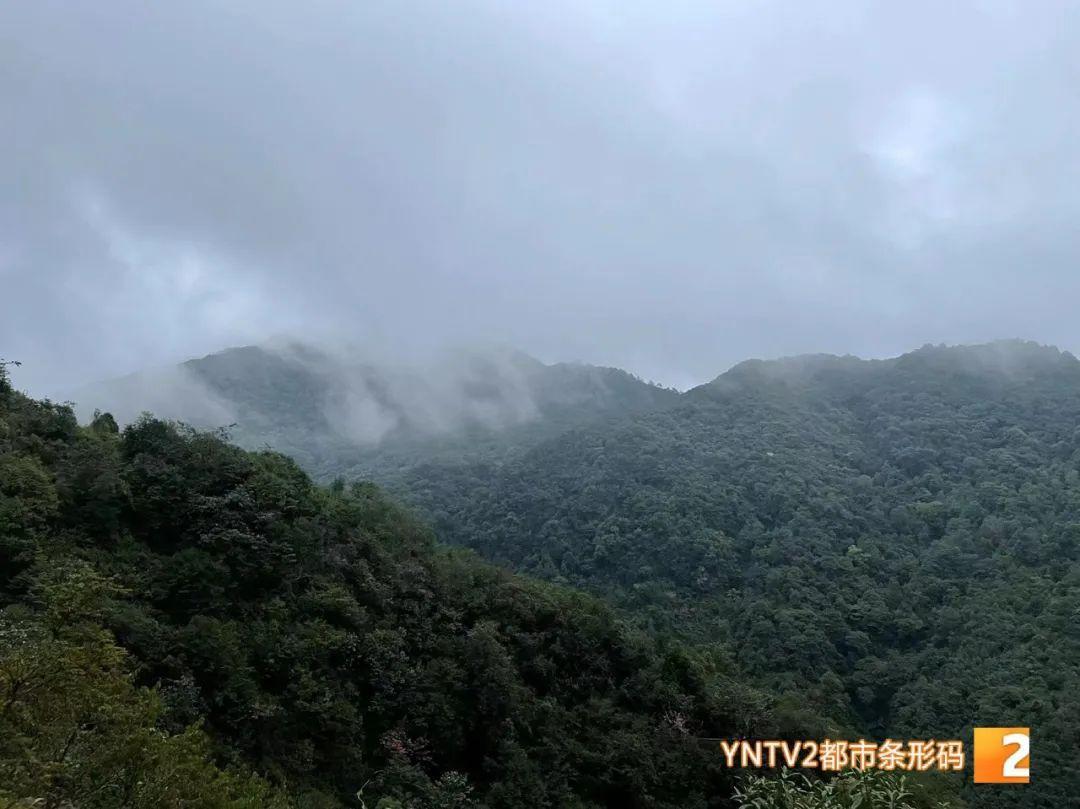 遇難地質人員進山為何穿一次性雨衣，初步判斷遇難原因最大可能是失溫