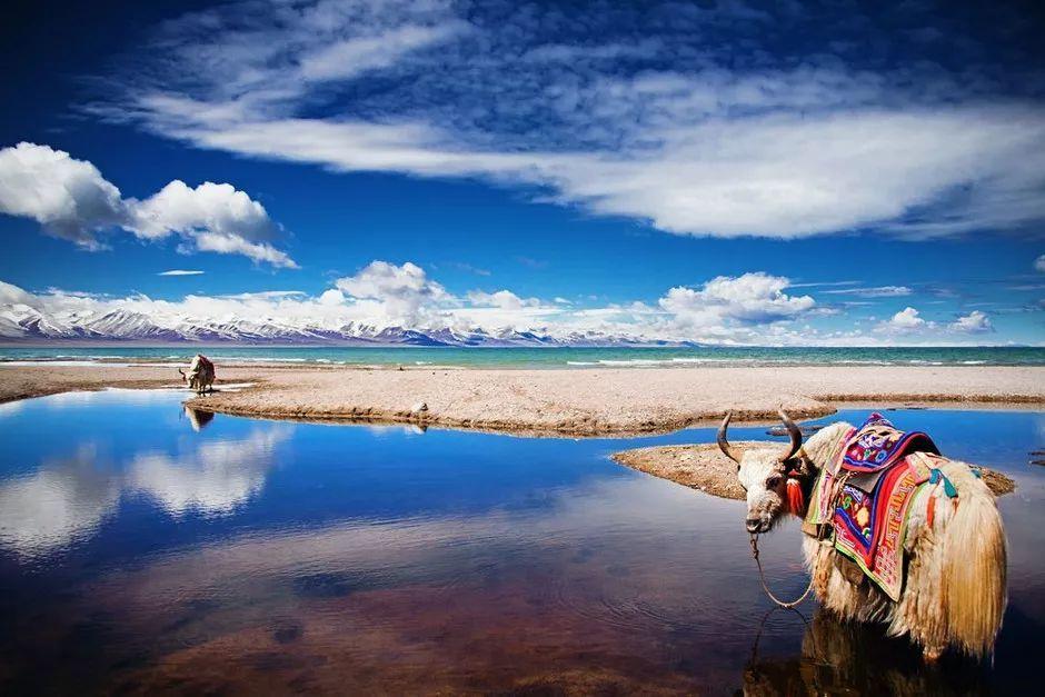 中國有什么特產(全國各地著名特產一覽表)