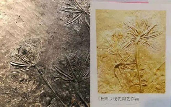教材又出問題，上海五年級小學(xué)生指出數(shù)學(xué)教材錯誤上熱搜，專家回應(yīng)了