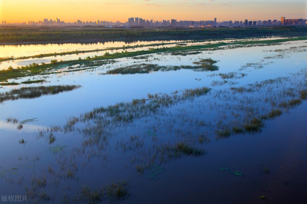 中國最涼快的十大城市(中國最涼爽的城市排名)