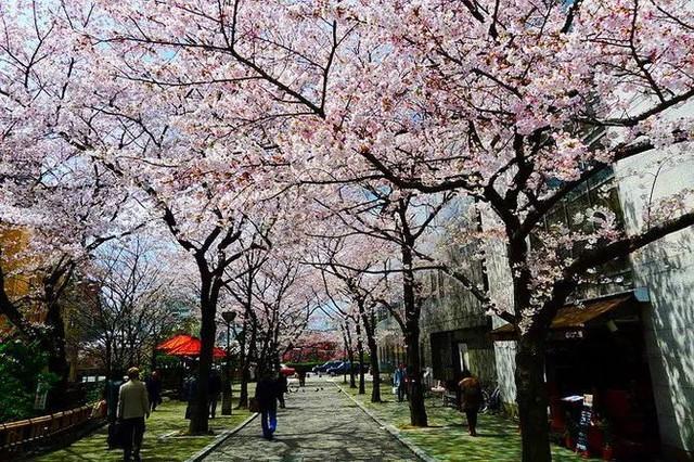 京都五大寺院分別叫什么？(足利義滿)