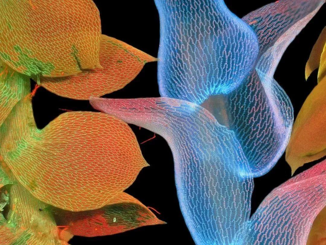 我的奇思妙想作文300字精選10篇:我的奇思妙想簡短范文10篇【強烈推薦】