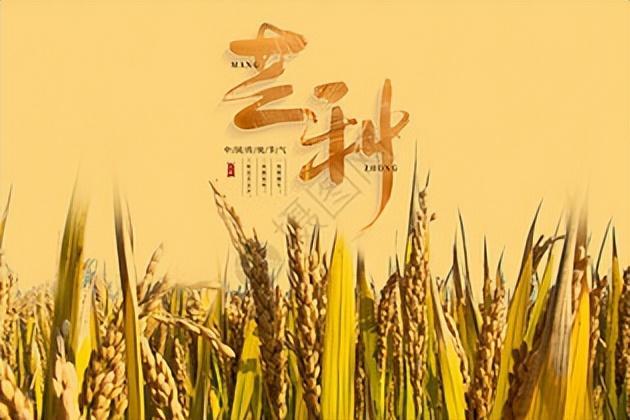 芒種的說(shuō)說(shuō)文案「精選29句推薦」