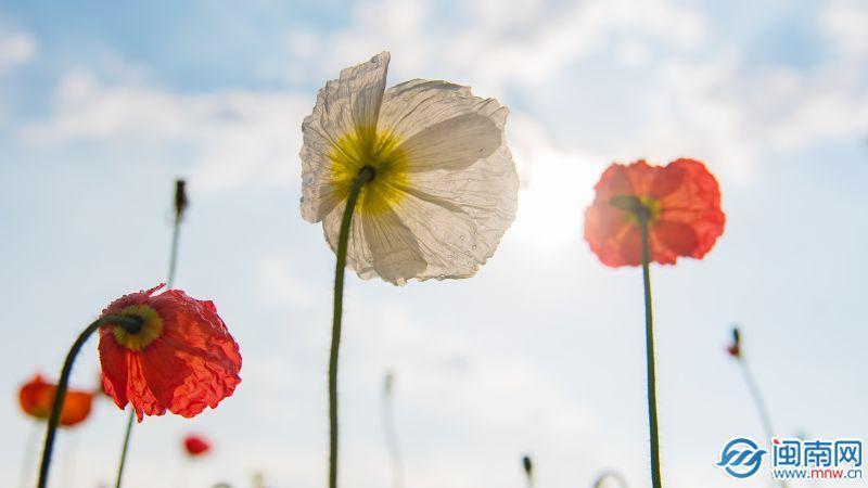 適合世界微笑日發朋友圈的說說「精選77句推薦」