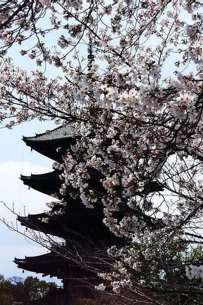 京都五大寺院分別叫什么？(足利義滿)