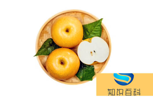 秋月梨和梨子哪一個(gè)止咳效果好