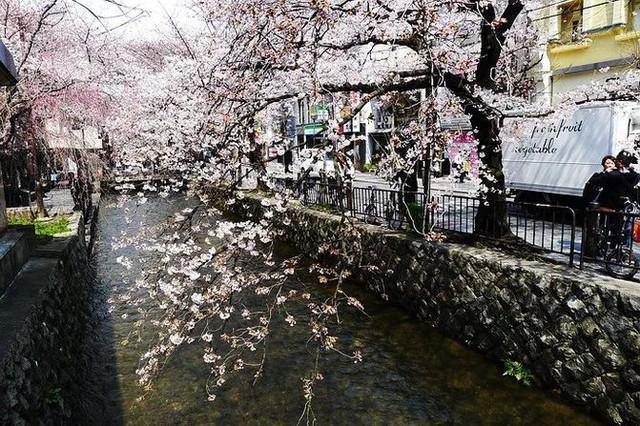 京都五大寺院分別叫什么？(足利義滿)