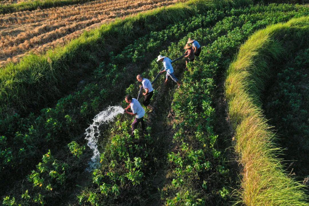今年為什么會出現“南旱北澇”,未來隨著氣候變化影響