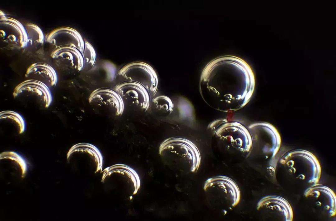 我的奇思妙想作文300字精選10篇:我的奇思妙想簡短范文10篇【強烈推薦】