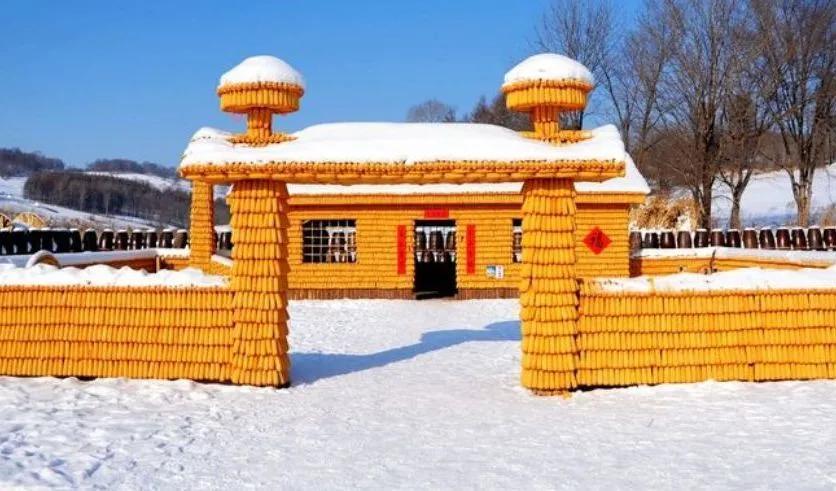 中國雪鄉在哪個城市及成因(怎么去雪鄉最方便)