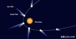 歐拉數學家有多厲害(歐拉在數學方面的成就)